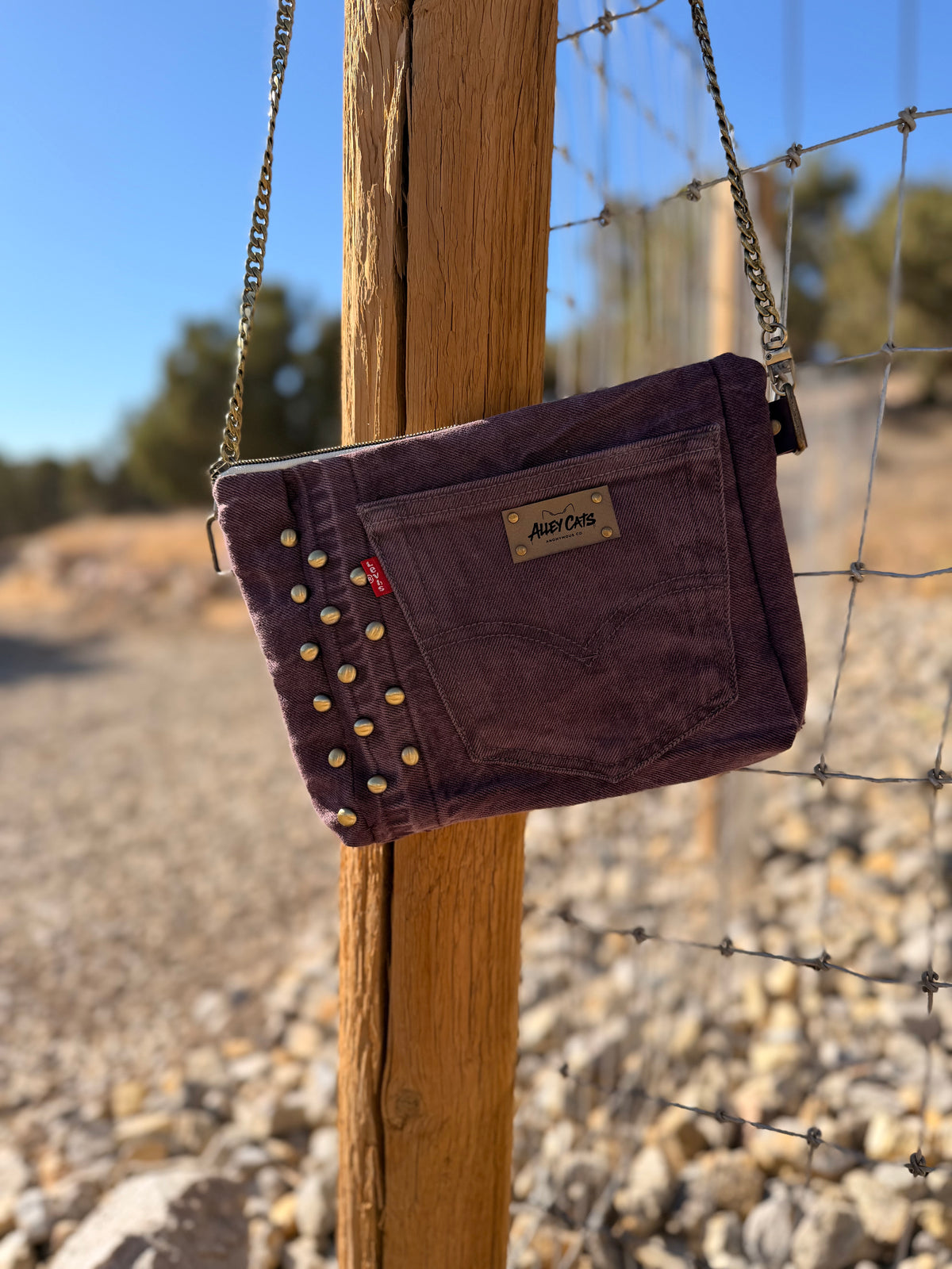 Purple Levi’s Bag